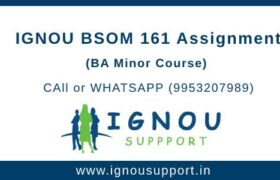 BSOM161 Assignment