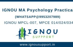 IGNOU MAPC Practical